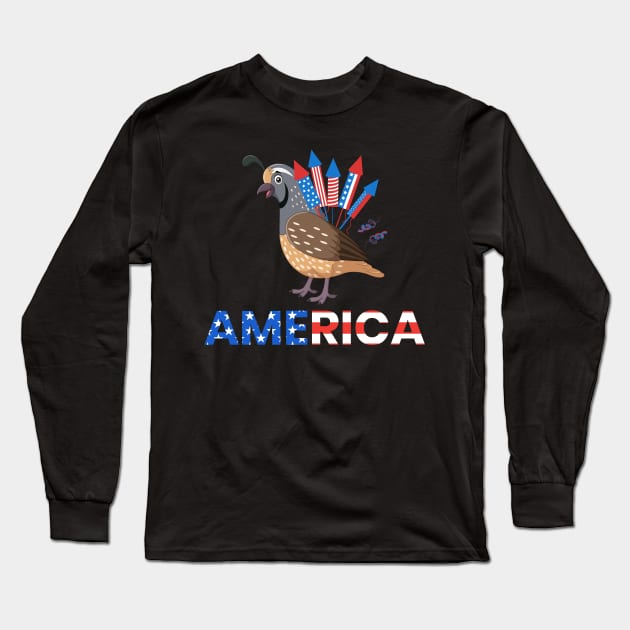 Quail Fireworks Quail America Long Sleeve T-Shirt by Lakeside Quail